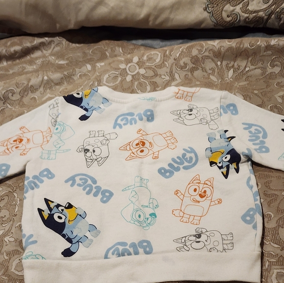 Bluey Sweatshirt Shirt Toddler 4T - Picture 3 of 3